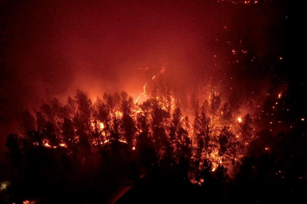 Canla başla mücadele: Alevler geceyi gündüze çevirdi